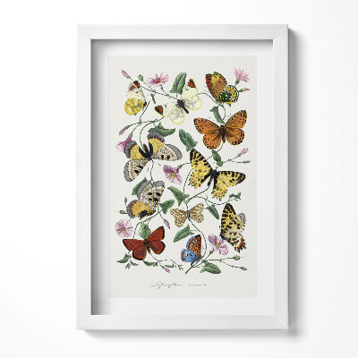 Keretezett kép Színes pillangók és virágok