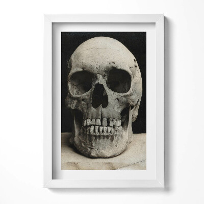 Keretezett kép Emberi koponya