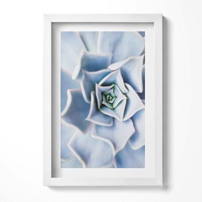 Keretezett kép Kék színű spirálisan elrendezett virág