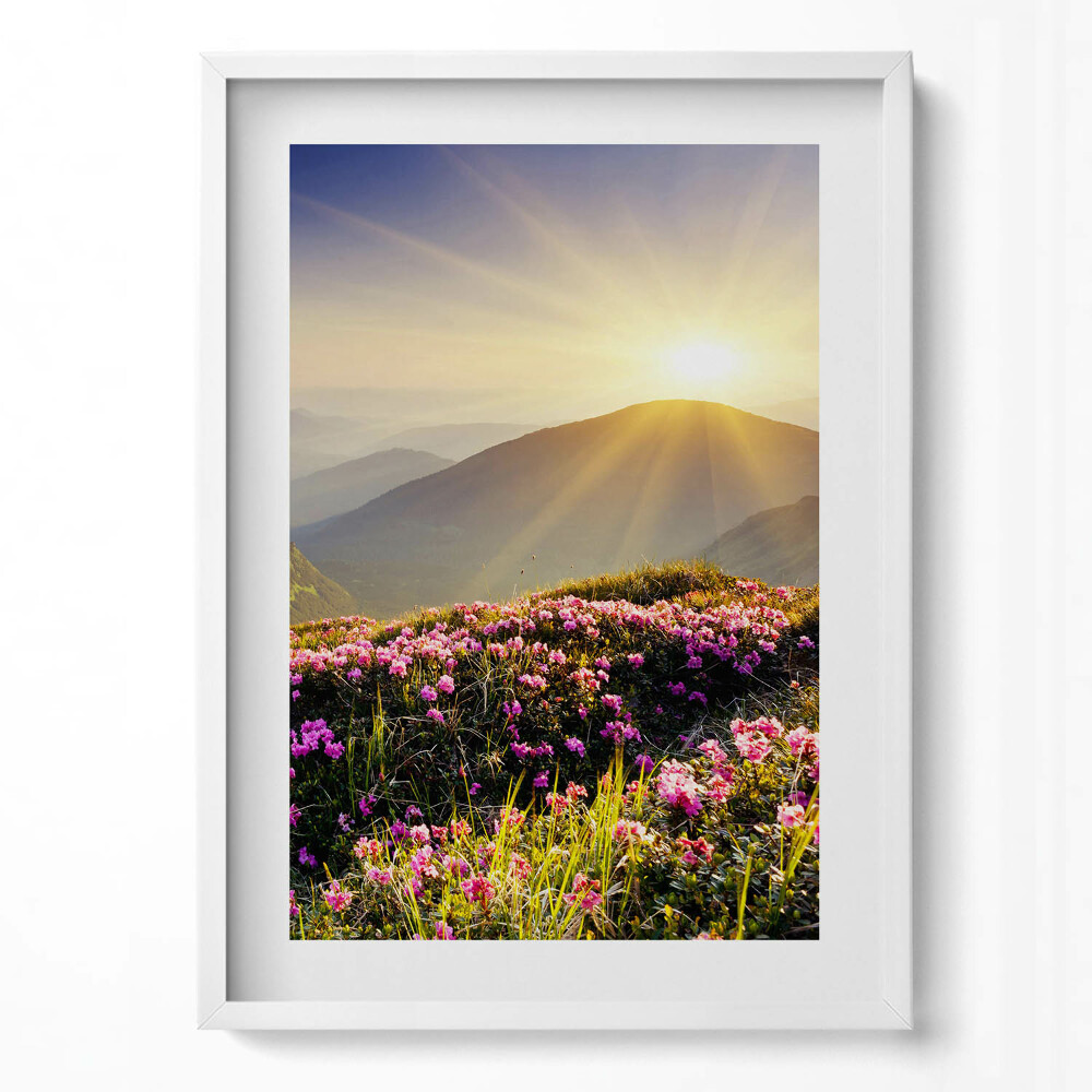 Függőleges kép keretben Virágos hegyvidéki táj