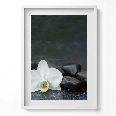 Függőleges kép keretben Fehér virág és sima kövek