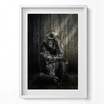 Függőleges kép keretben Gorilla gondolkodó pózban