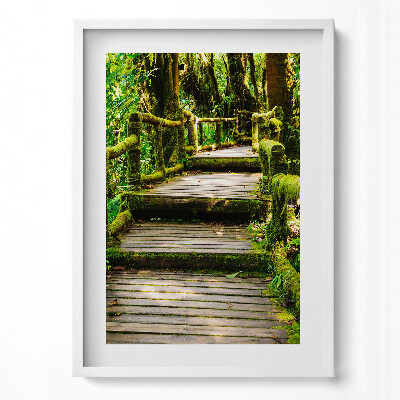 Függőleges kép keretben Zöld erdei ösvény