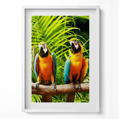 Függőleges kép keretben Két színes papagáj zöld háttér előtt
