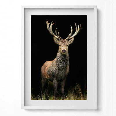 Függőleges kép keretben Szarvas a sötét háttér előtt