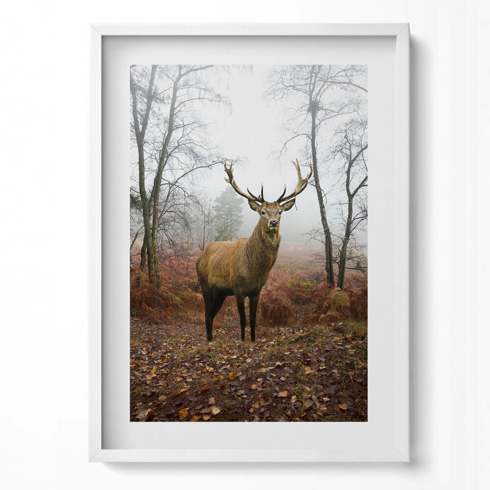Függőleges kép keretben Szarvas ködös erdőben