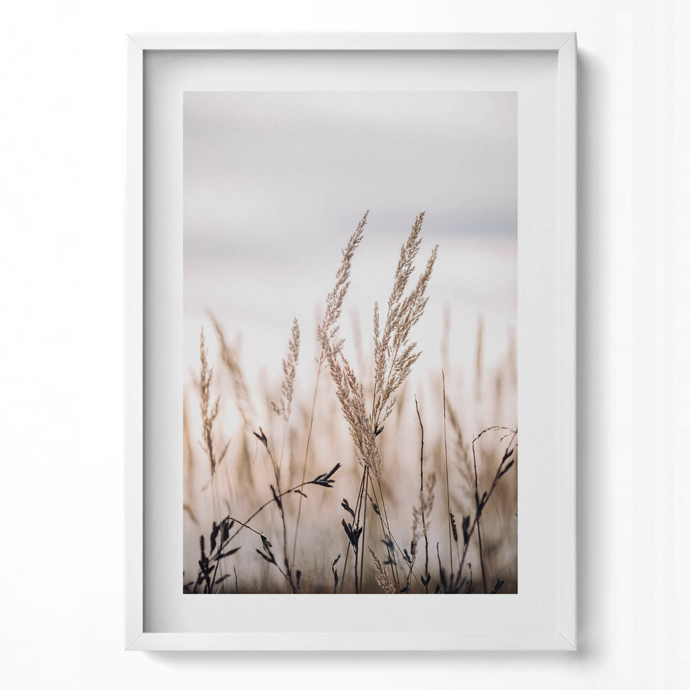 Függőleges kép keretben Fűszálak szélben lágy háttérrel