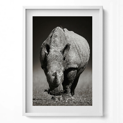 Függőleges kép keretben Egy orrszarvú fekete-fehér festménye