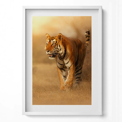 Függőleges kép keretben Tigris a fűben