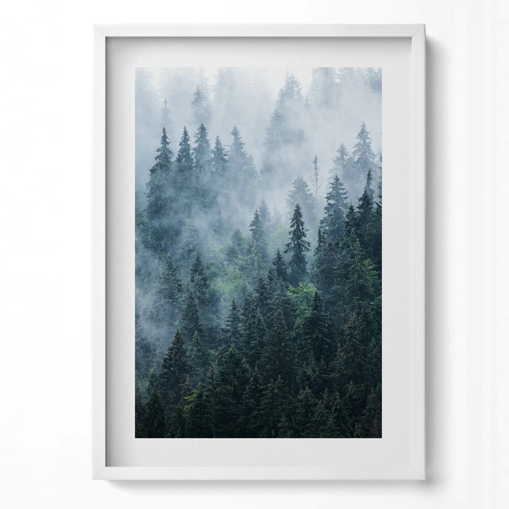 Függőleges kép keretben Füves ködös erdő