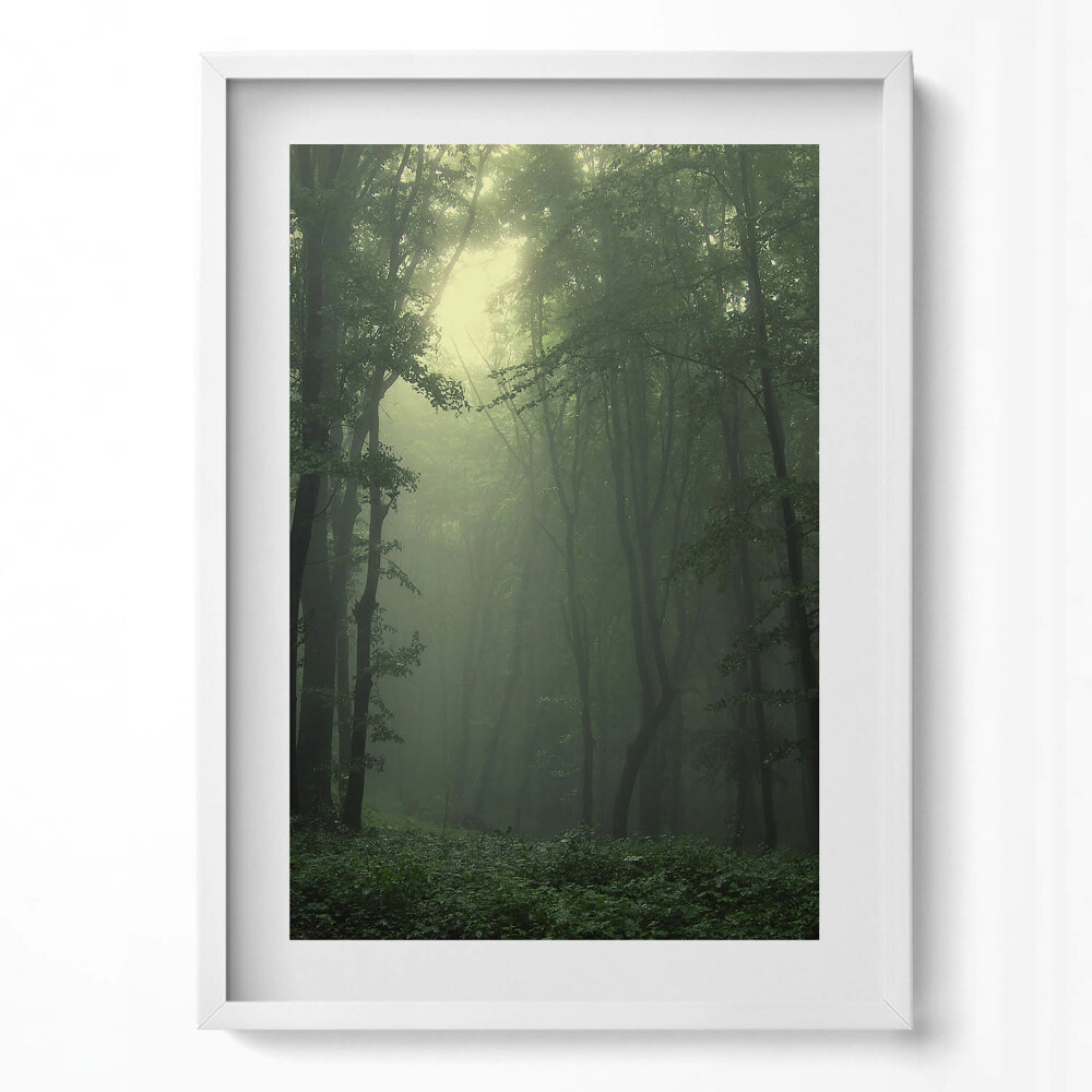 Függőleges kép keretben Zöld erdő ködben