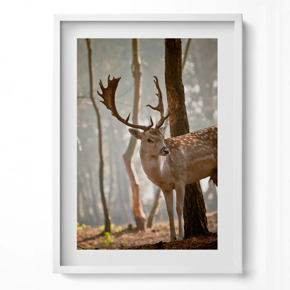 Függőleges kép keretben Szarvas az erdőben