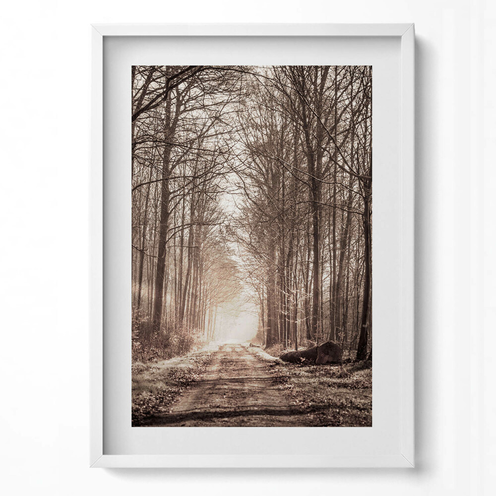 Függőleges kép keretben Fás út napfényes táj