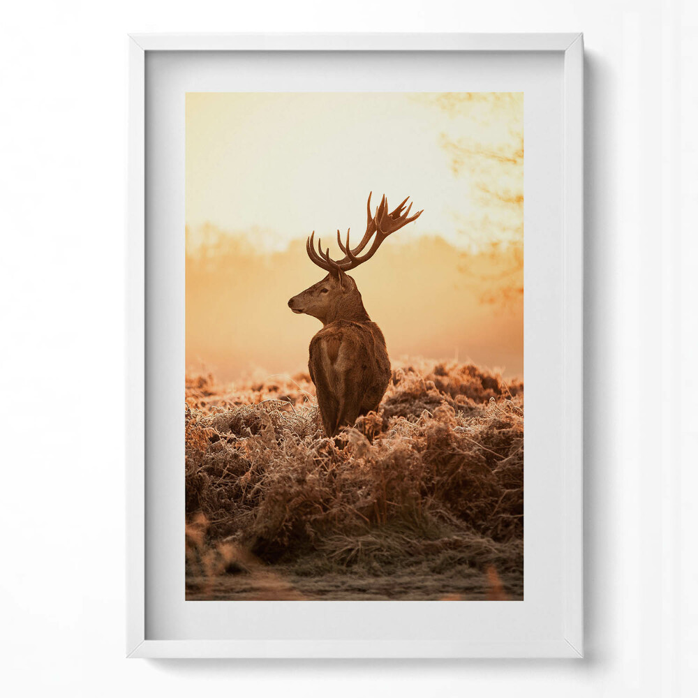 Függőleges kép keretben Szarvas naplementében