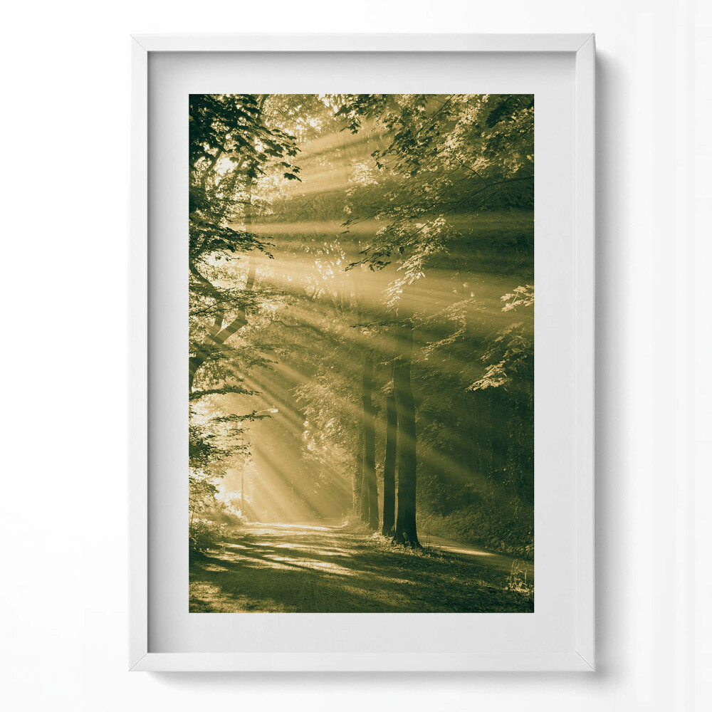 Függőleges kép keretben Fényárban úszó erdei ösvény