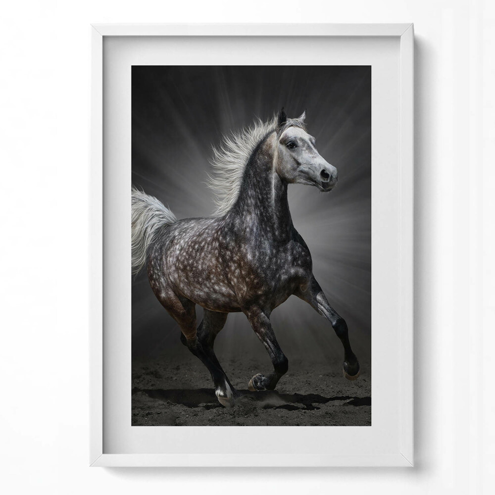 Függőleges kép keretben Futó ló fényes háttérrel