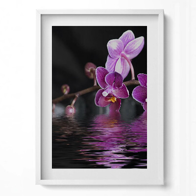 Függőleges kép keretben Lila orchidea víz tükröződésével