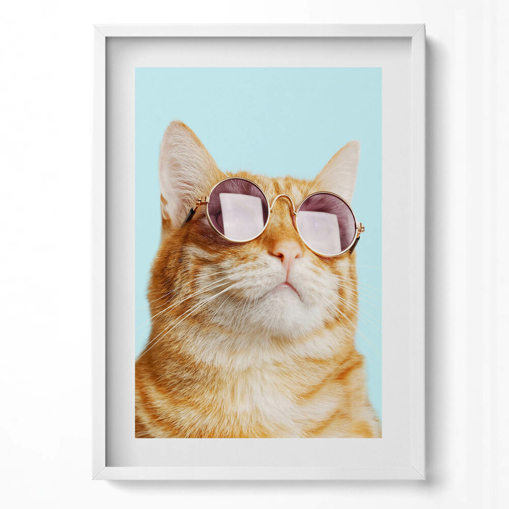 Függőleges kép keretben Cicás napszemüveges portré
