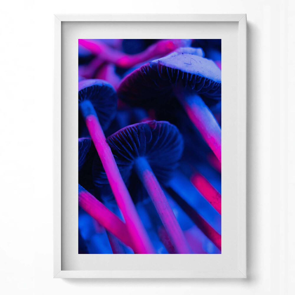 Függőleges kép keretben Fényes gombák élénk színek