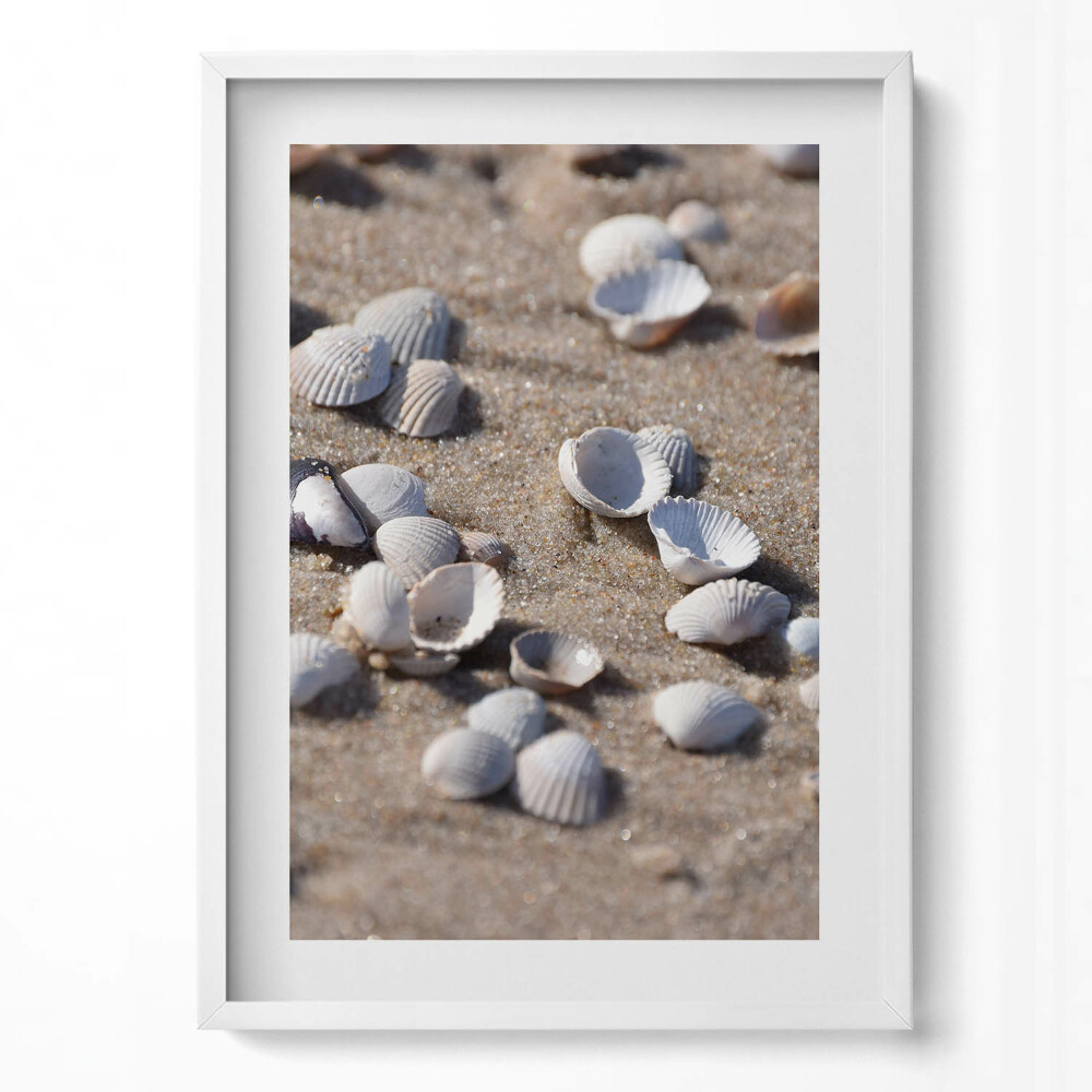 Függőleges kép keretben Héjhéjak tengerparti homokban