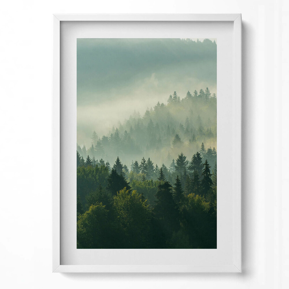 Függőleges kép keretben Ködös erdő táj