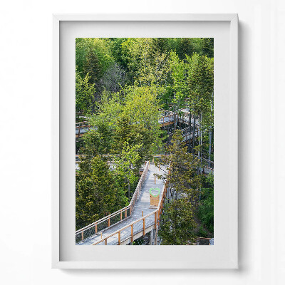 Függőleges kép keretben Zöld fák és fapalló