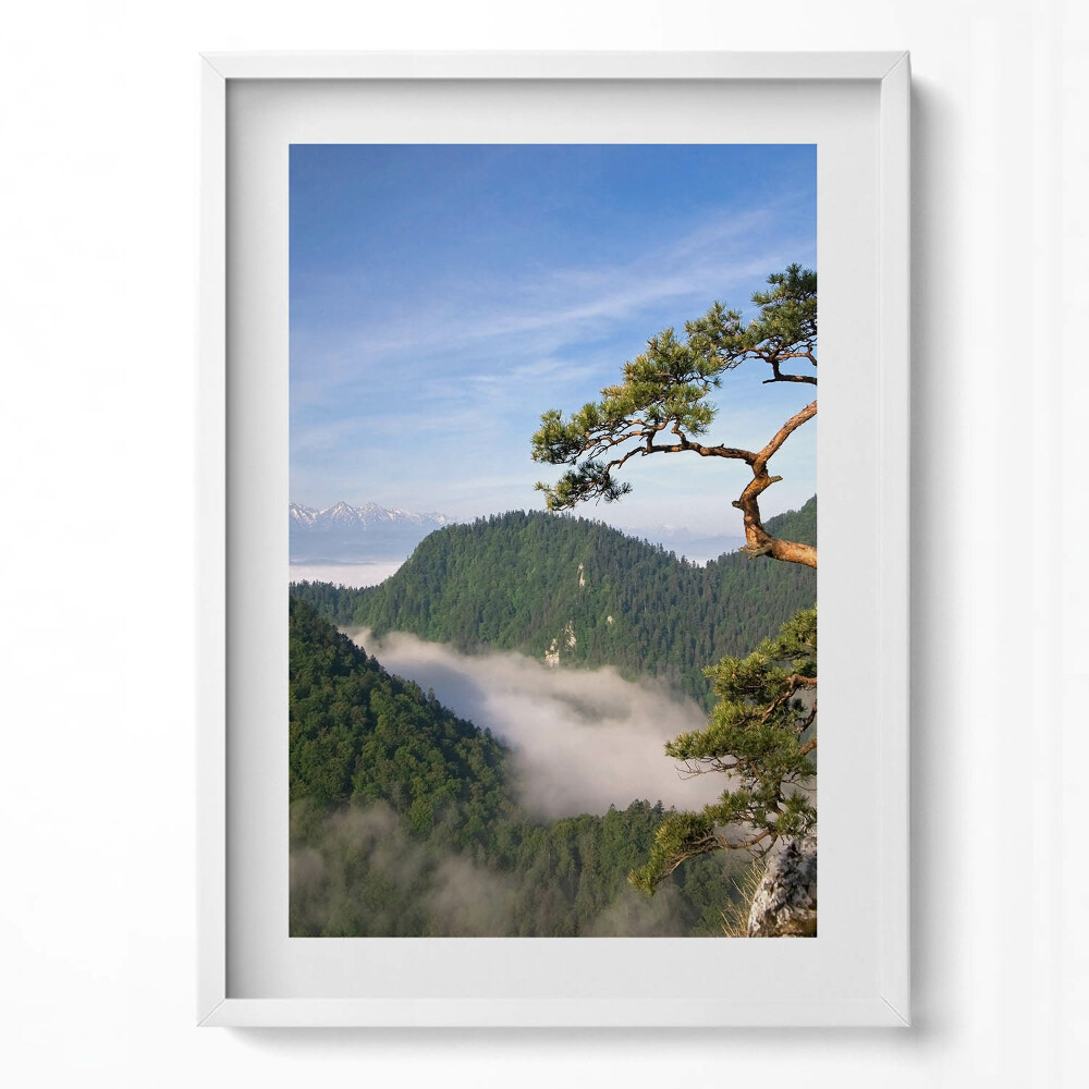 Függőleges kép keretben Hegyek és fák ködben