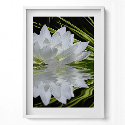 Függőleges kép keretben Fehér vízililiom kövek vízfelszín