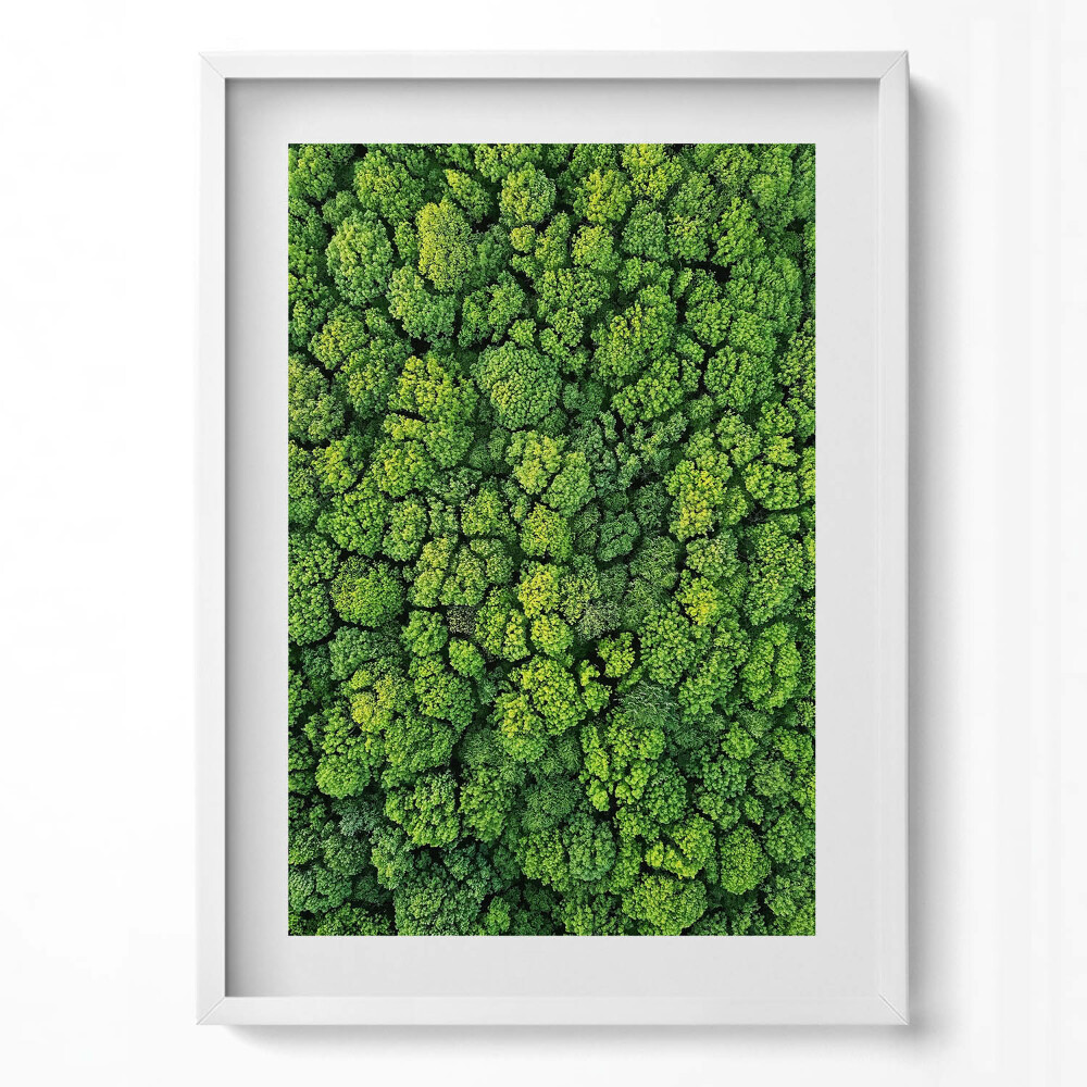 Függőleges kép keretben Zöld fák sűrű lombkoronája