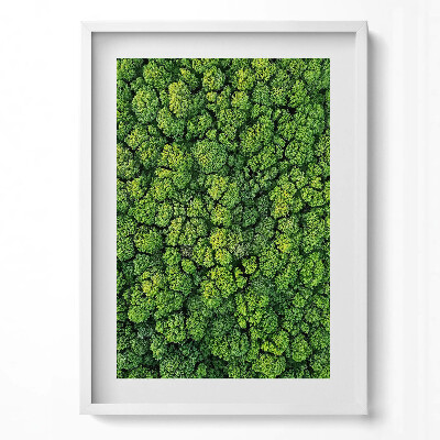 Függőleges kép keretben Zöld fák sűrű lombkoronája