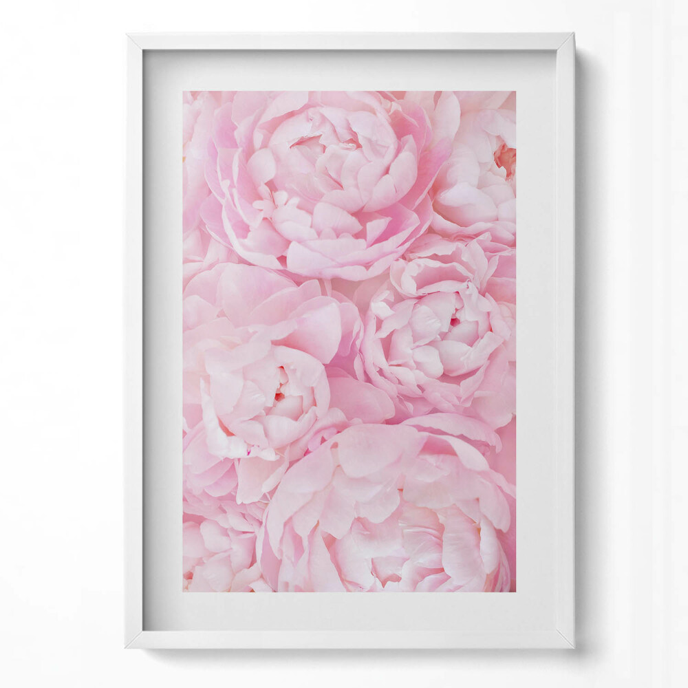 Függőleges kép keretben Rózsaszínű virágok peóniák