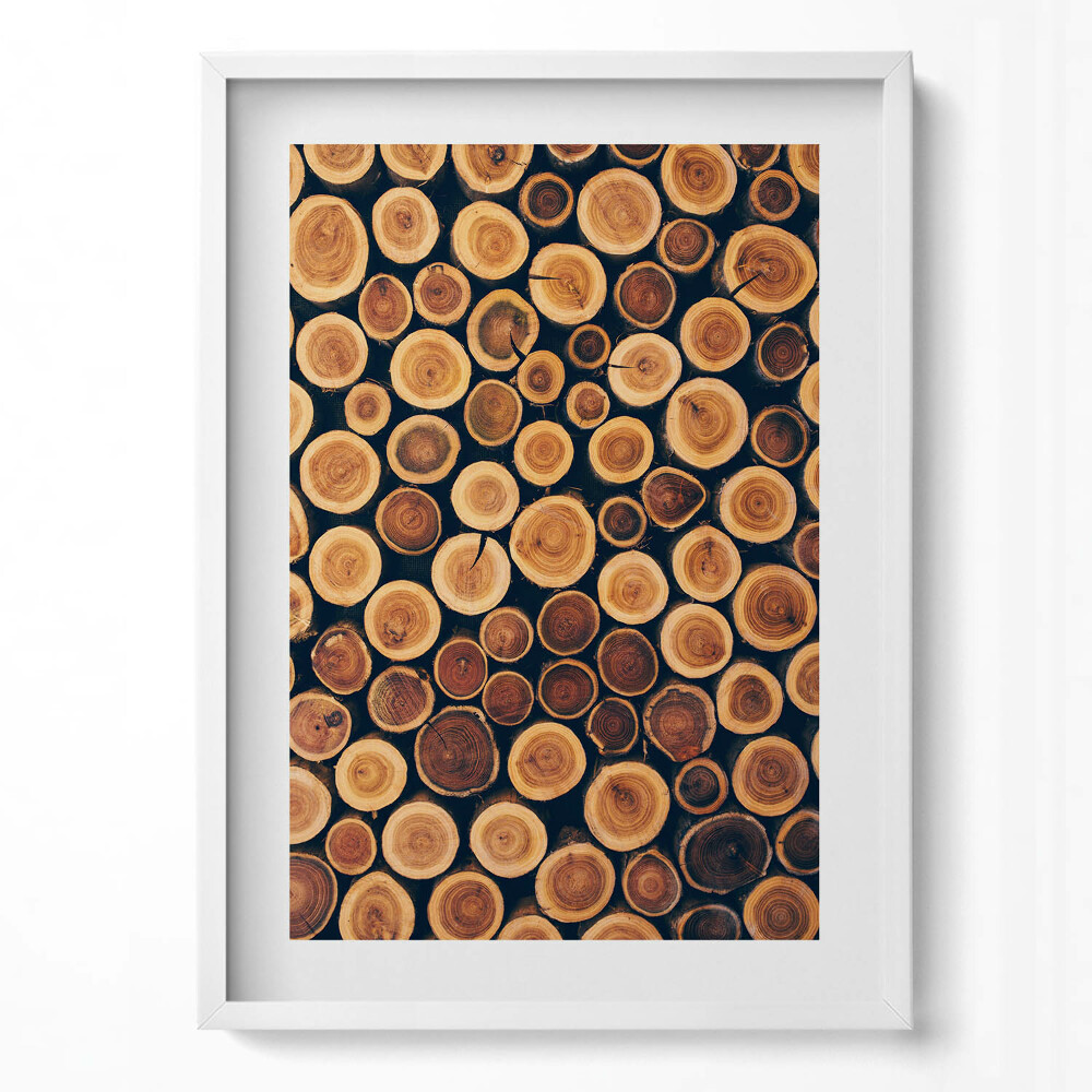 Függőleges kép keretben Fakitermékek körkörös metszetei
