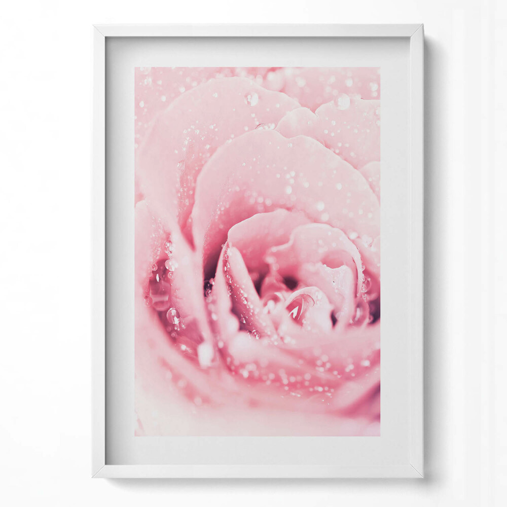 Függőleges kép keretben Rózsás virág vízcseppekkel