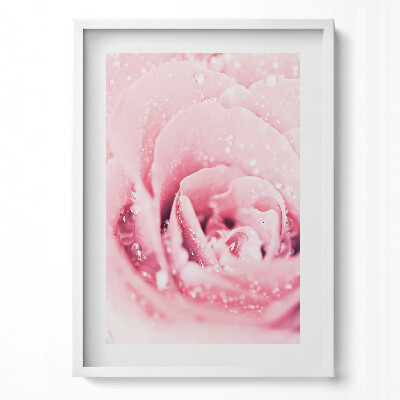 Függőleges kép keretben Rózsás virág vízcseppekkel