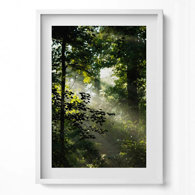 Függőleges kép keretben Fák és fény a természetben