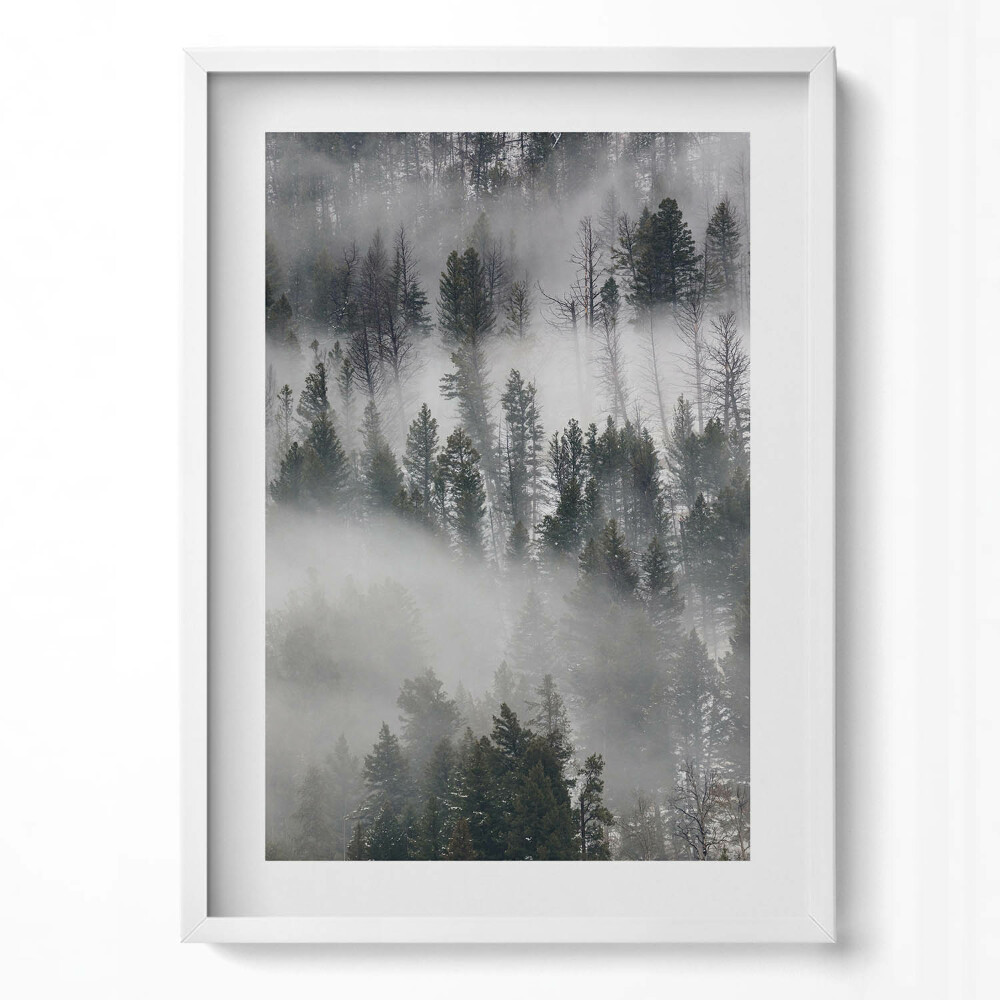 Függőleges kép keretben Ködös erdő táj