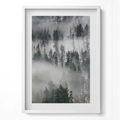 Függőleges kép keretben Ködös erdő táj