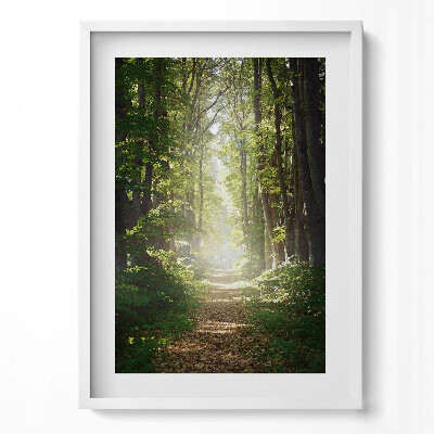Függőleges kép keretben Zöld erdei ösvény napfényben