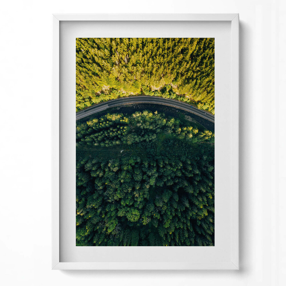 Függőleges kép keretben Zöld erdő és kanyargós út