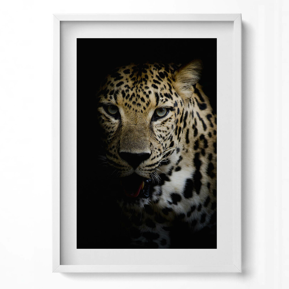 Függőleges kép keretben Leopárd arca sötét háttérrel