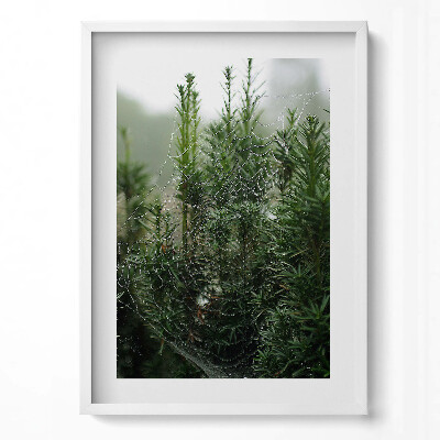 Függőleges kép keretben Pókháló zöld növényeken