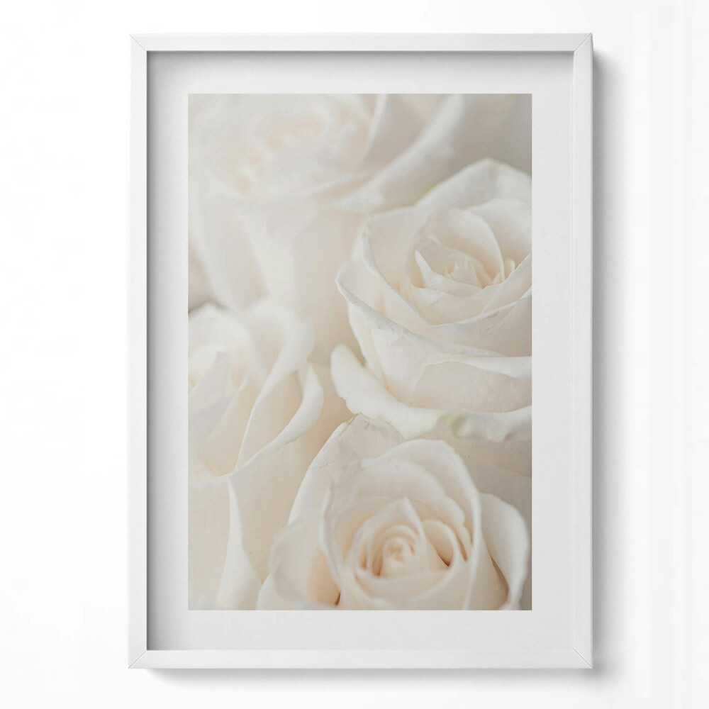 Függőleges kép keretben Fehér rózsák közelről
