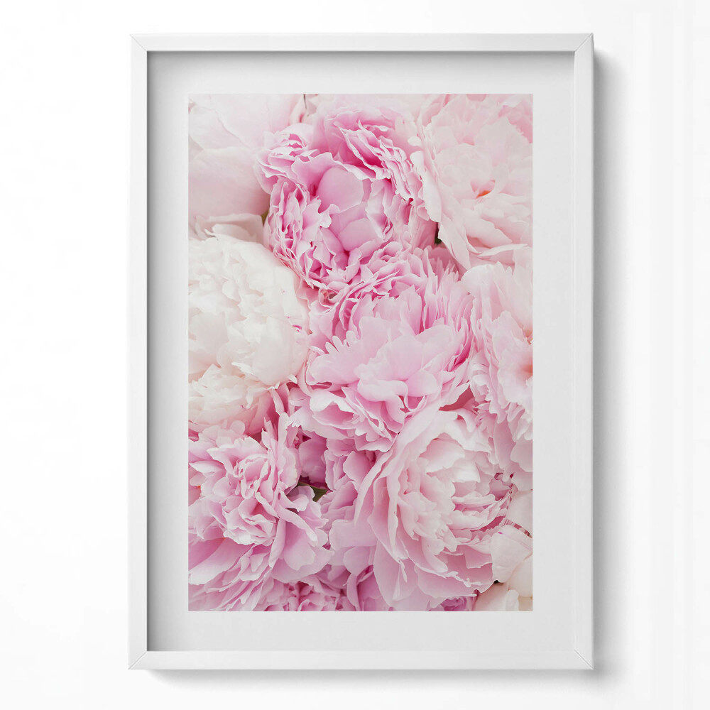 Függőleges kép keretben Rózsaszín virágok peóniák