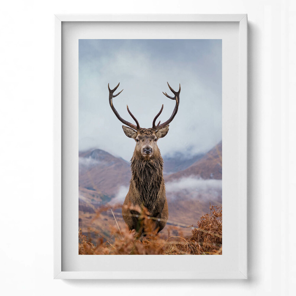 Függőleges kép keretben Szarvas a hegyekben