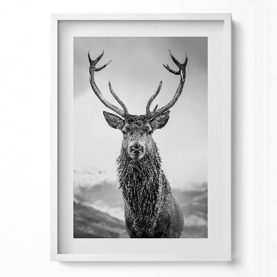 Függőleges kép keretben Szarvas portréja fekete-fehérben
