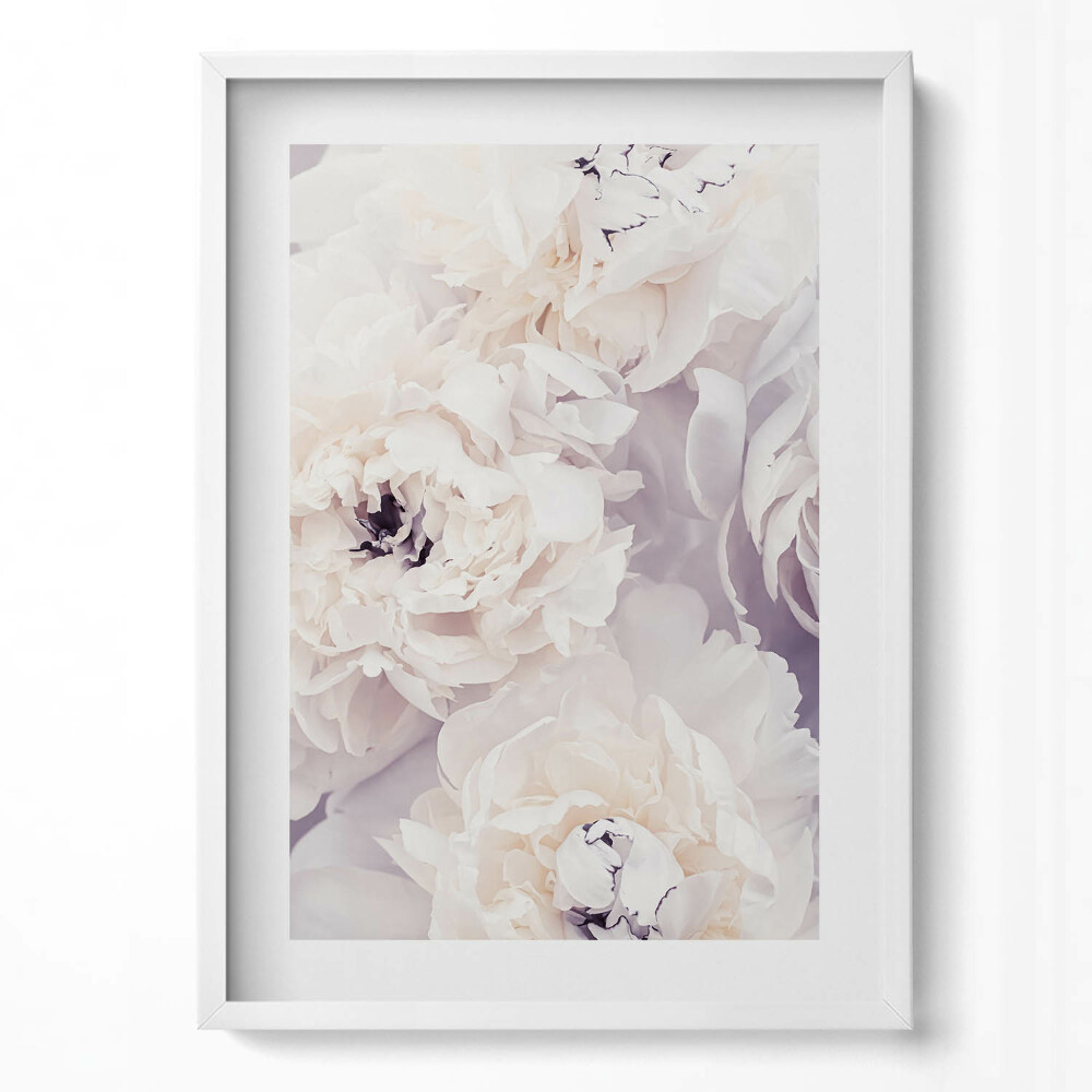 Függőleges kép keretben Pehly fehér virágok