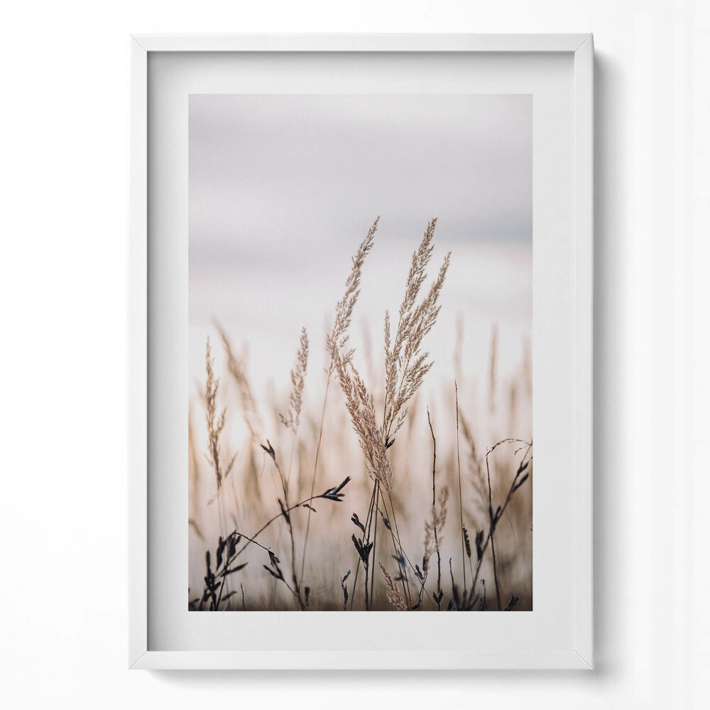 Függőleges kép keretben Száraz fű a háttérben
