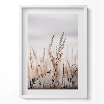 Függőleges kép keretben Száraz fű a háttérben