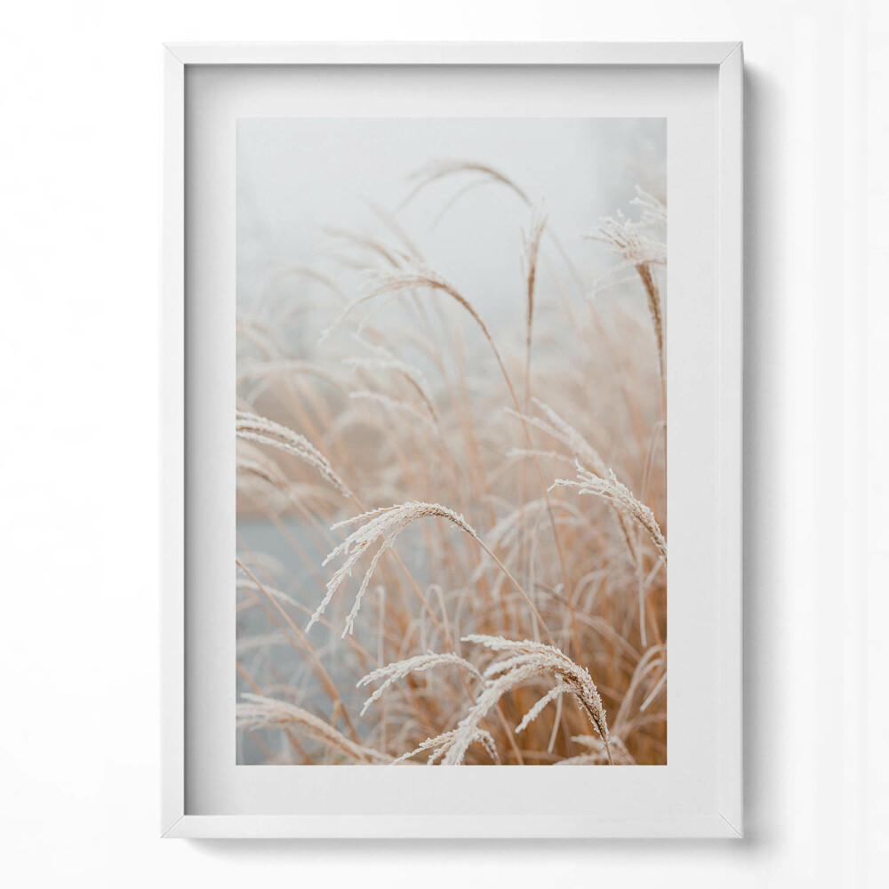 Függőleges kép keretben Fagyott fű a ködben