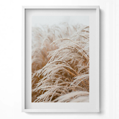 Függőleges kép keretben Száraz fű harmatos reggel